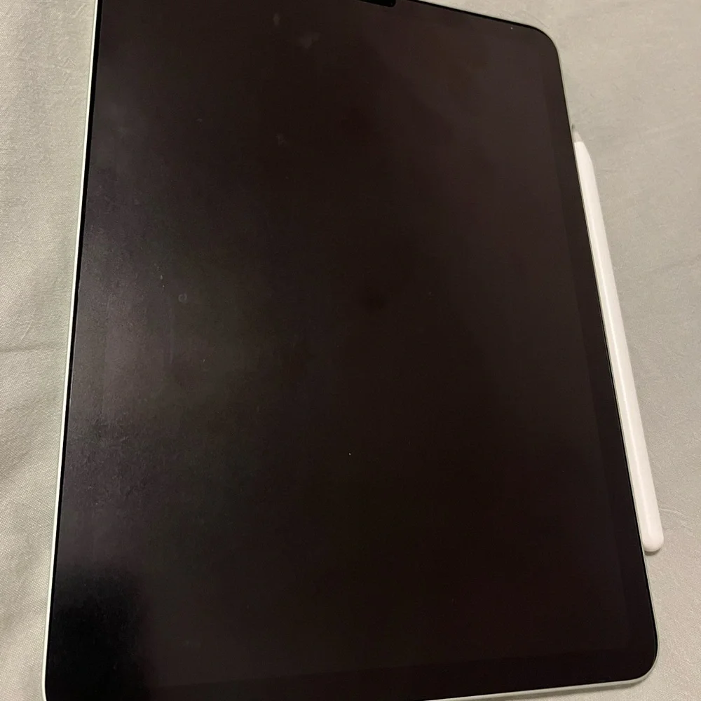 Apple iPad Air 4th Generation 256 GB WiFi only